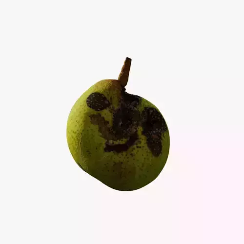 Anydrafts Pear 03
