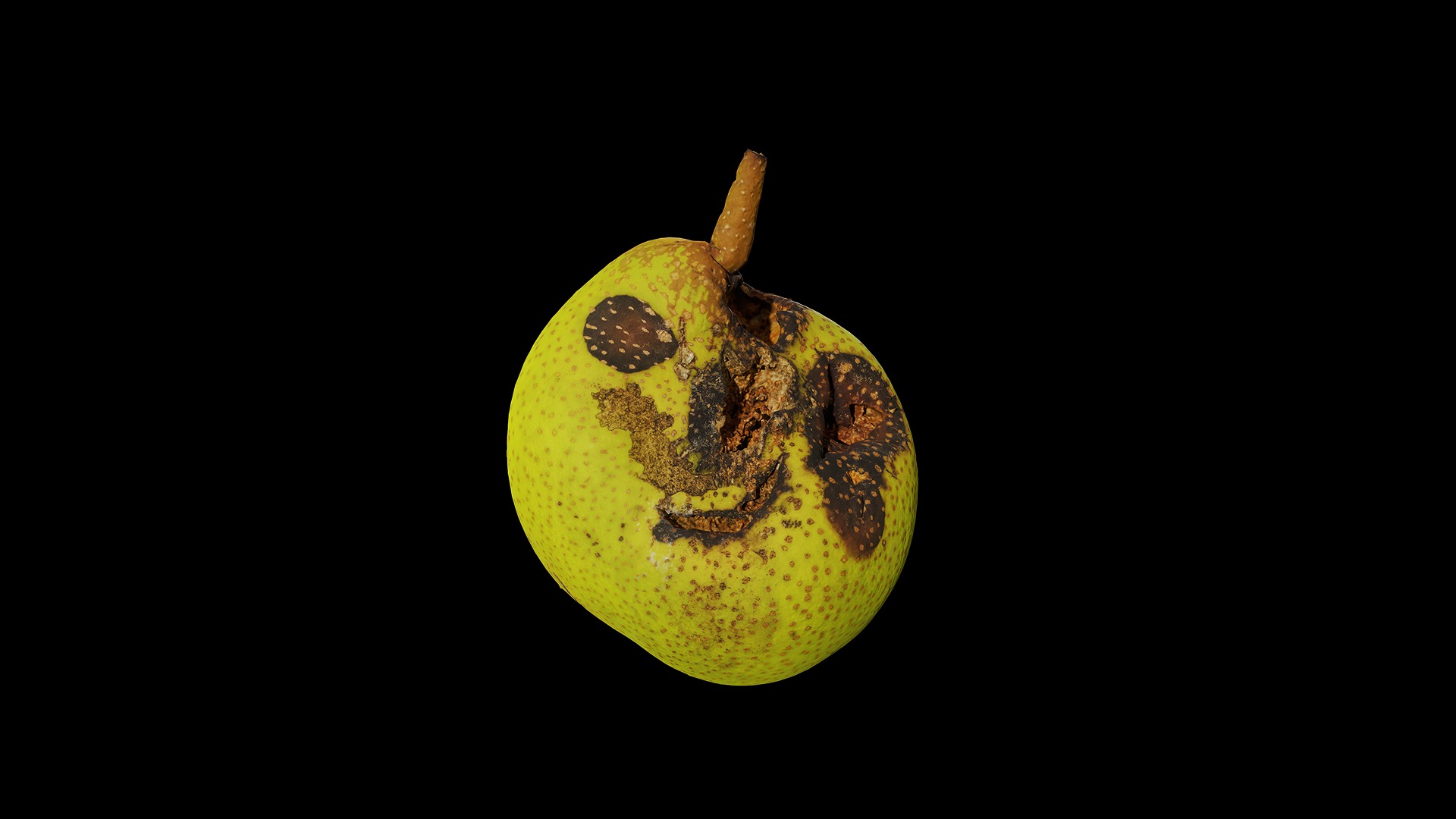 Anydrafts Pear 03 Low-poly 3D model_7