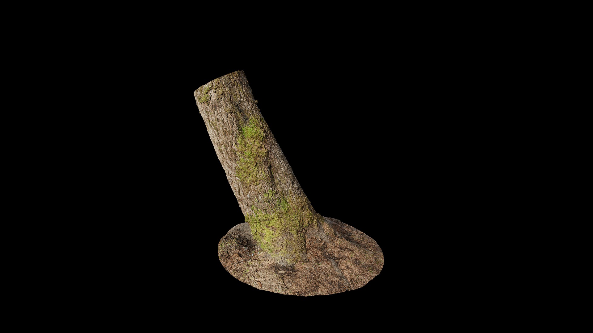 Anydrafts Abies fabri Trunk 11 Low-poly 3D model_6