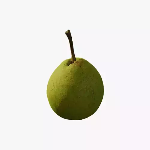 Anydrafts Pear 05