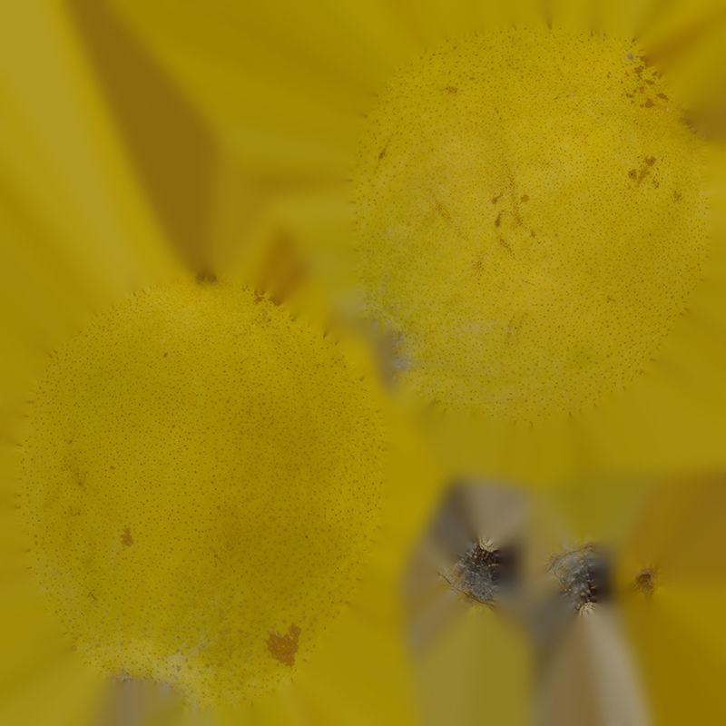 Anydrafts Pear 08 Low-poly 3D model_1