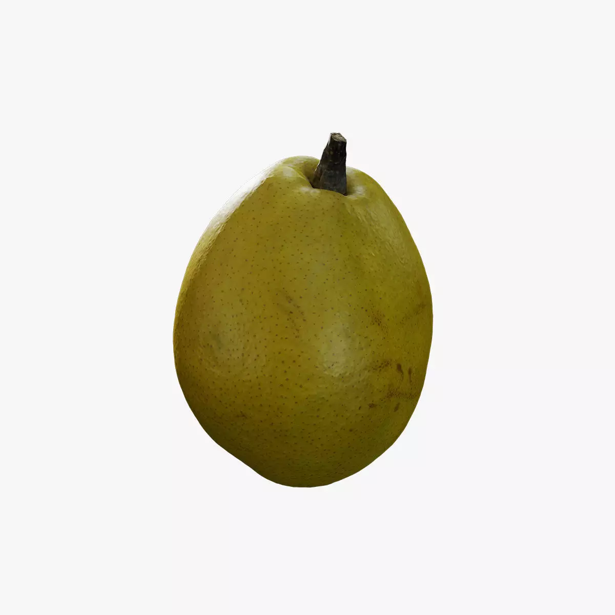 Anydrafts Pear 08 Low-poly 3D model_0