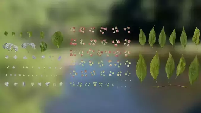 4K Hydrangea Macrophylla Textures Pack