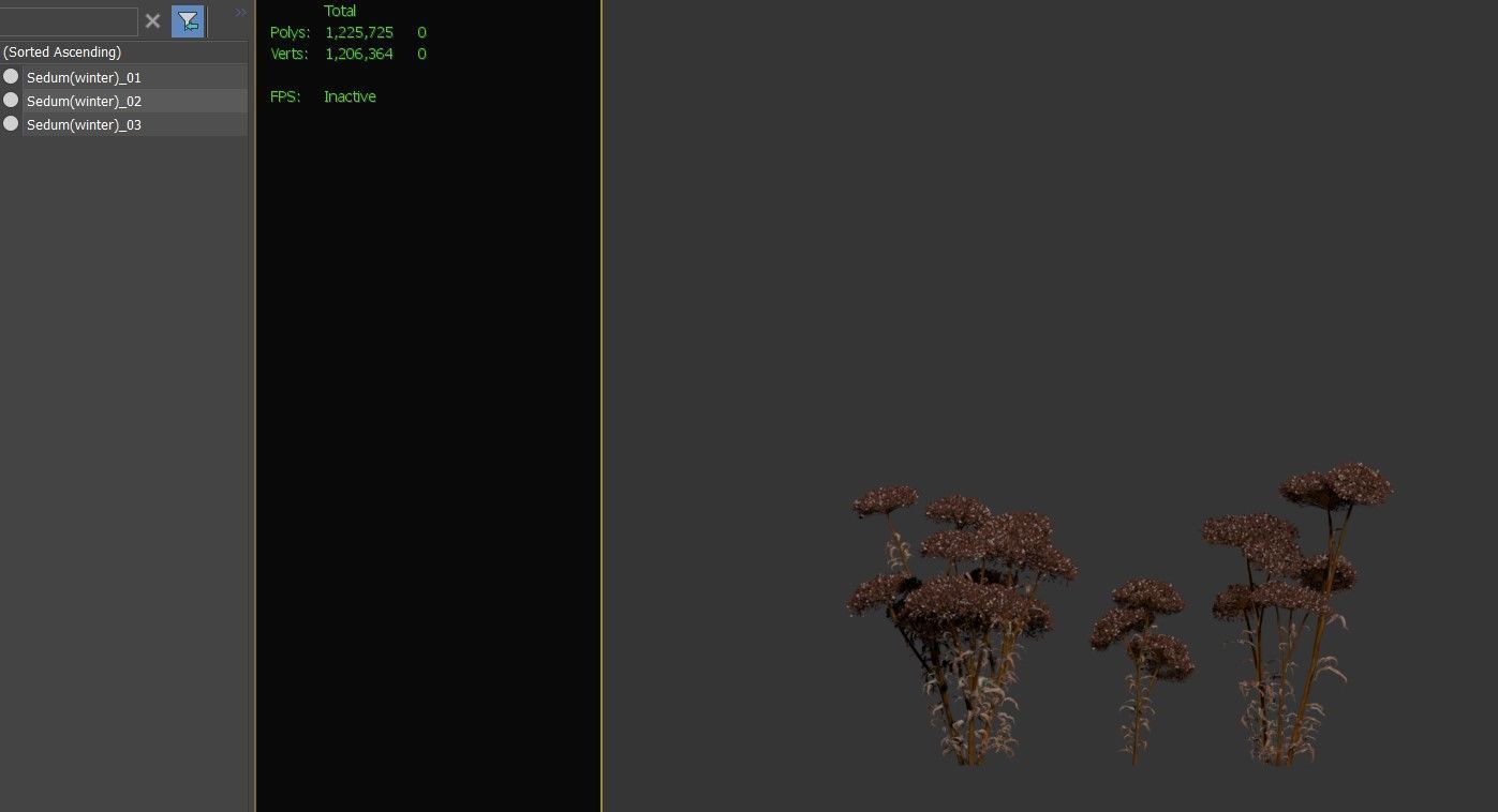 Sedum plant 3D model_5