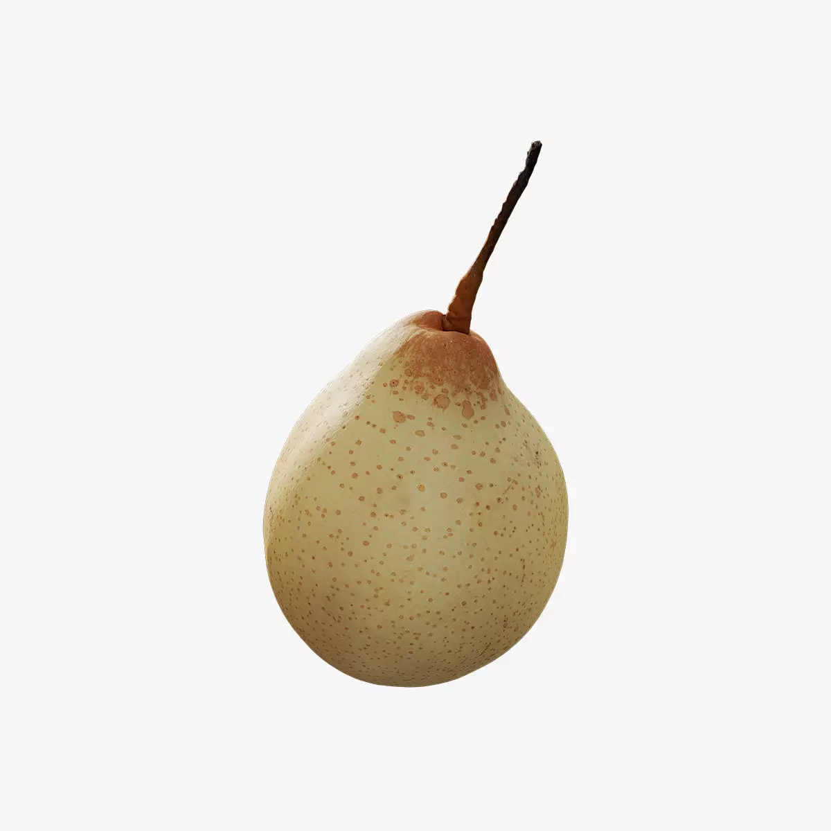 Anydrafts Pear 10 Low-poly 3D model_0