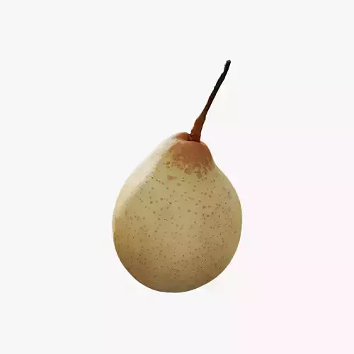 Anydrafts Pear 10