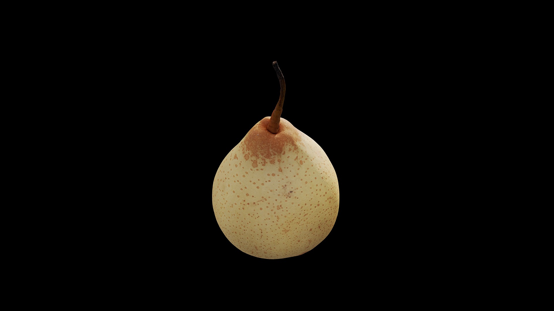 Anydrafts Pear 10 Low-poly 3D model_6