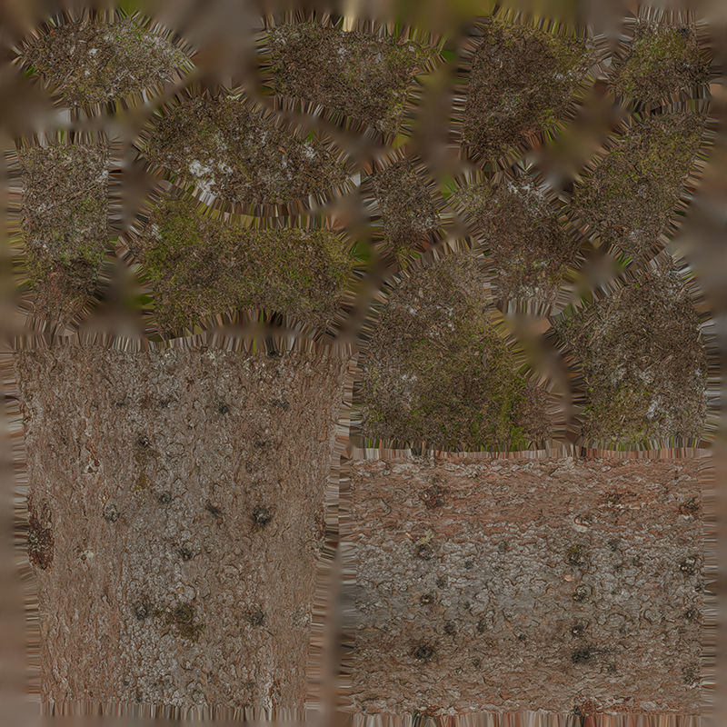 Anydrafts Abies fabri Trunk 13 Low-poly 3D model_1