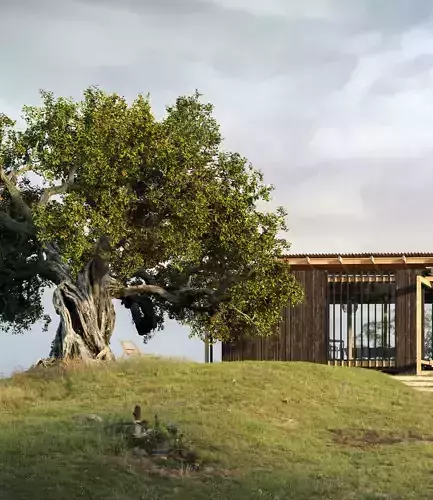 Model 3d OakTree By NhanLe Free 3D model