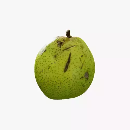 Anydrafts Pear 11