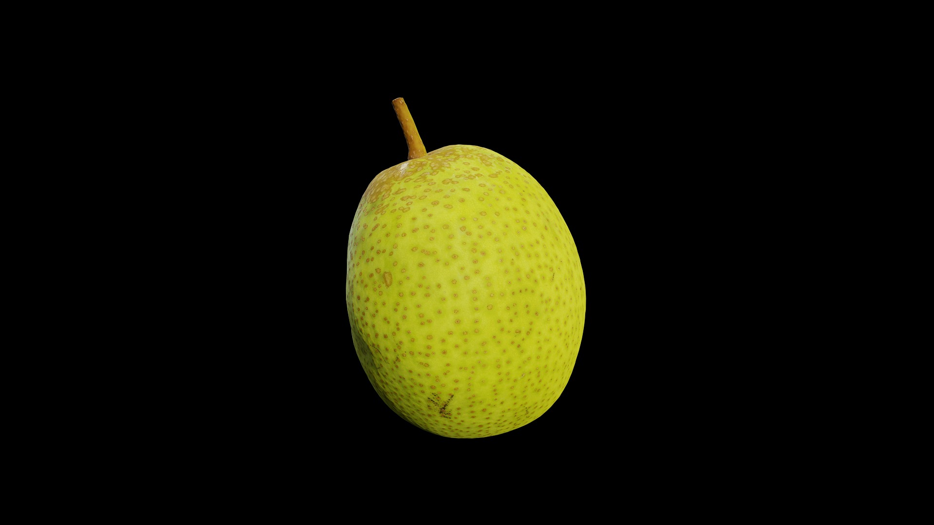 Anydrafts Pear 12 Low-poly 3D model_7