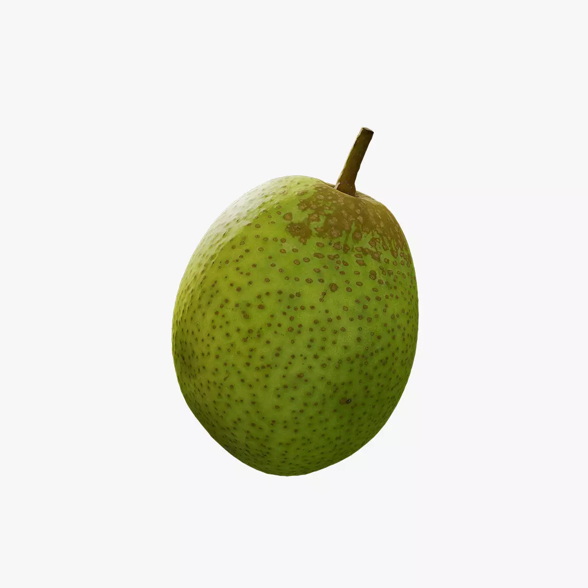 Anydrafts Pear 12 Low-poly 3D model_0