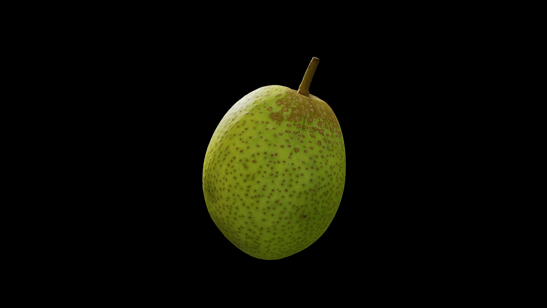 Anydrafts Pear 12 Low-poly 3D model_2