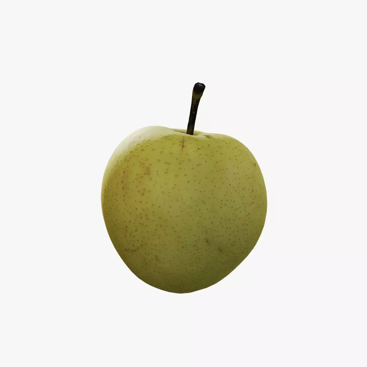 Anydrafts Pear 19 Low-poly 3D model_0