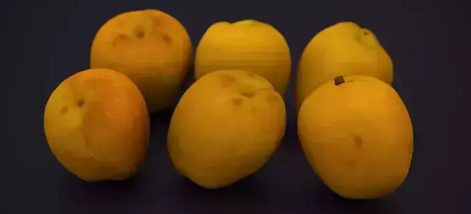 JAPANESE KAKI PEACH 2024