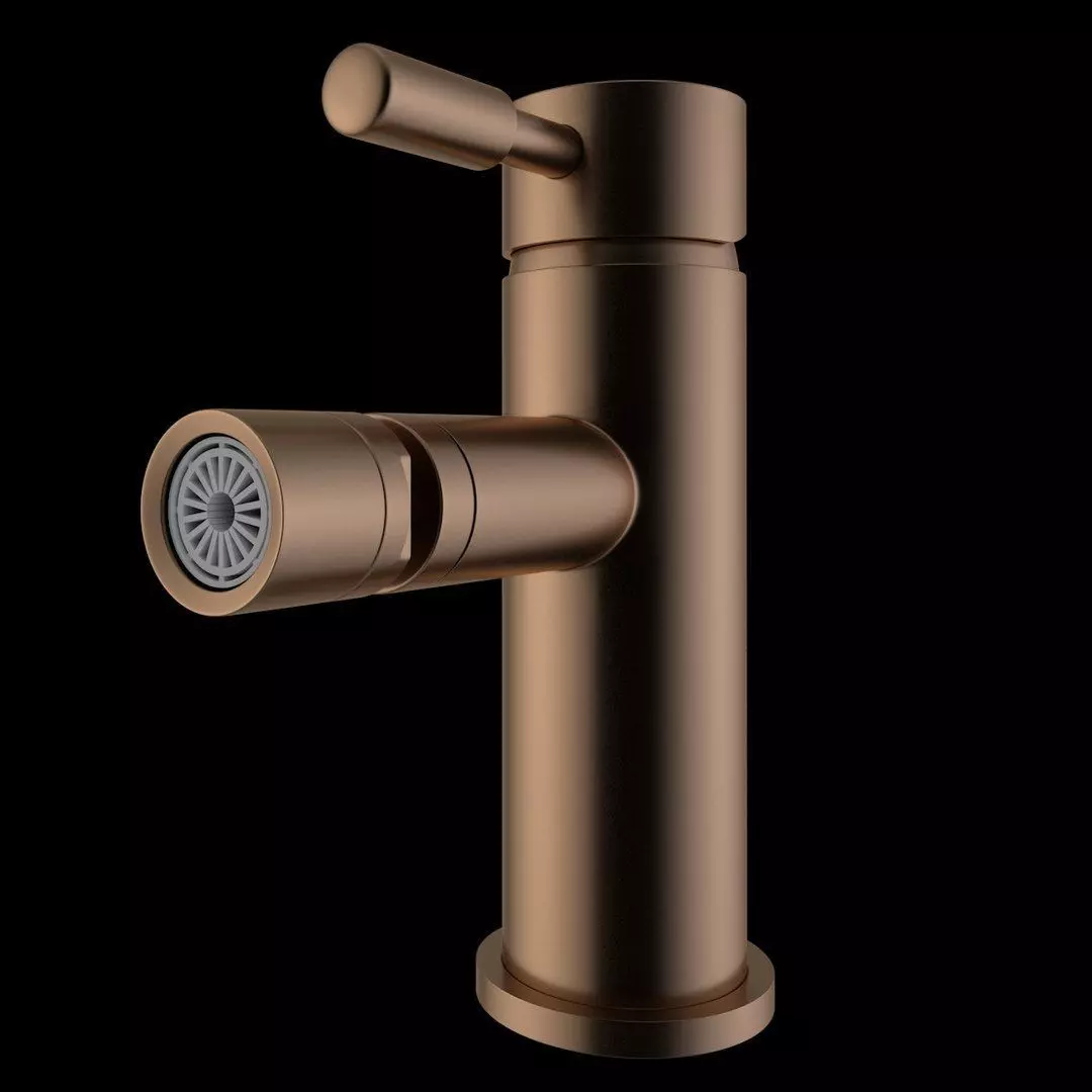 Bidet Tap beautiful faucet 3D model_0