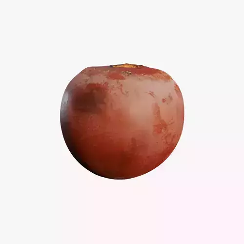 Anydrafts Persimmon 01