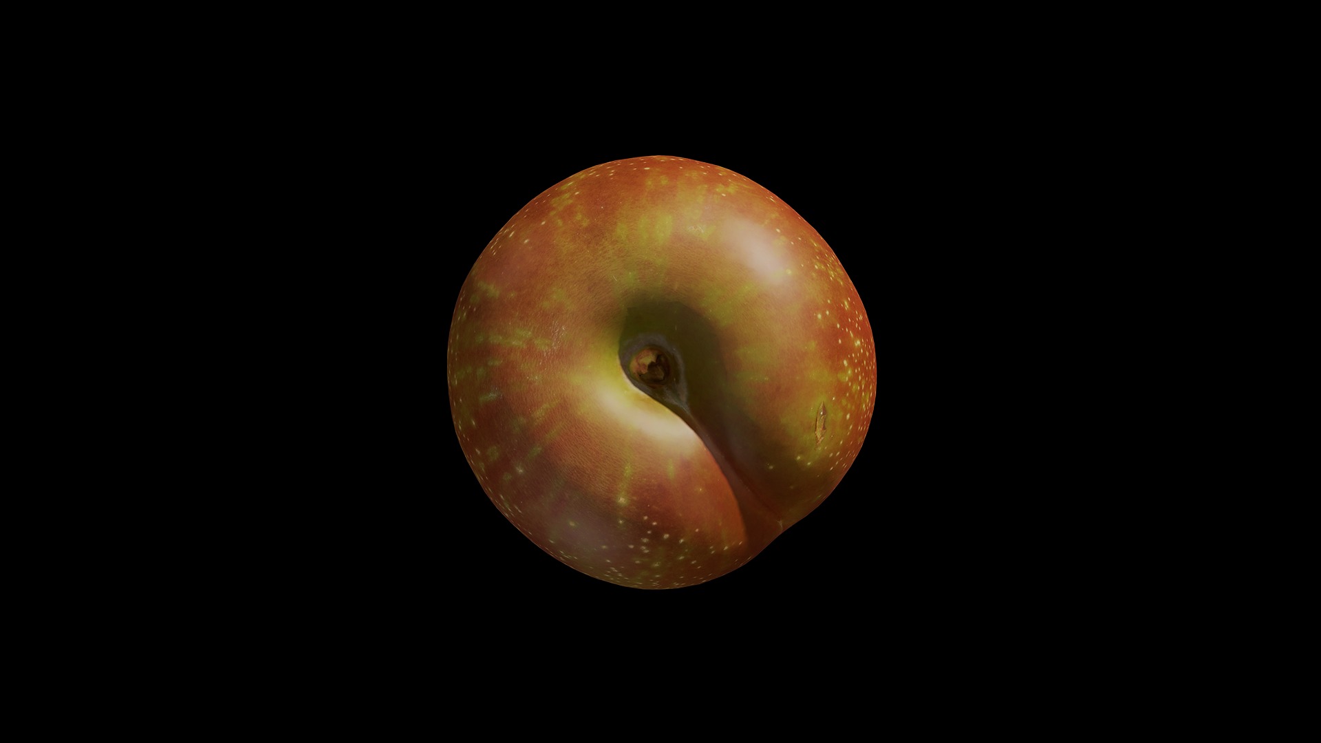 Anydrafts Prunus salicina 01 Low-poly 3D model_4