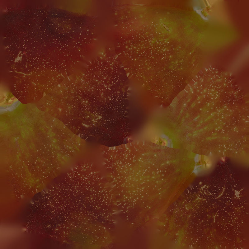 Anydrafts Prunus salicina 01 Low-poly 3D model_1