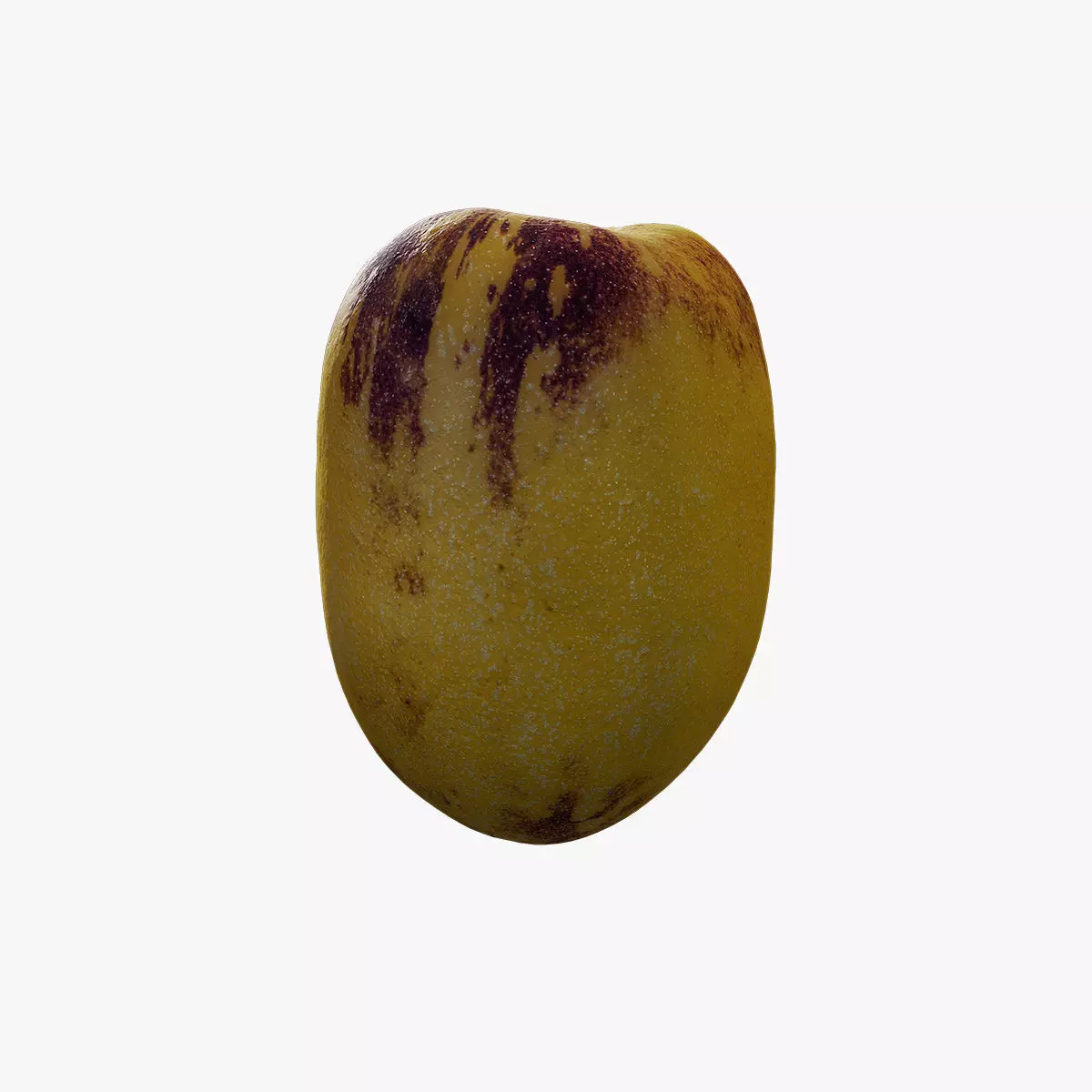 Anydrafts Solanum muricatum 04 Low-poly 3D model_0