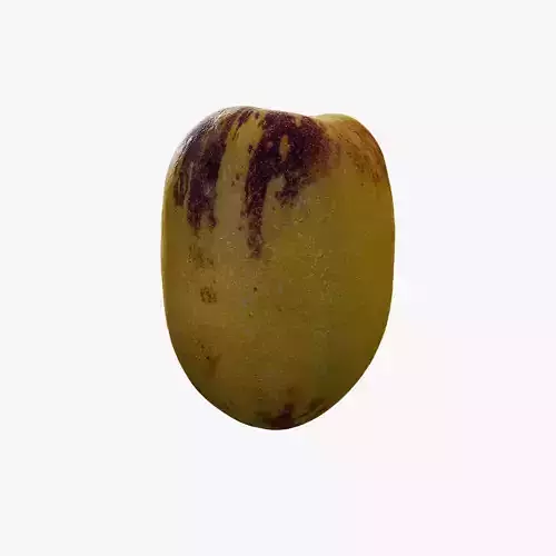 Anydrafts Solanum muricatum 04 Low-poly 3D model