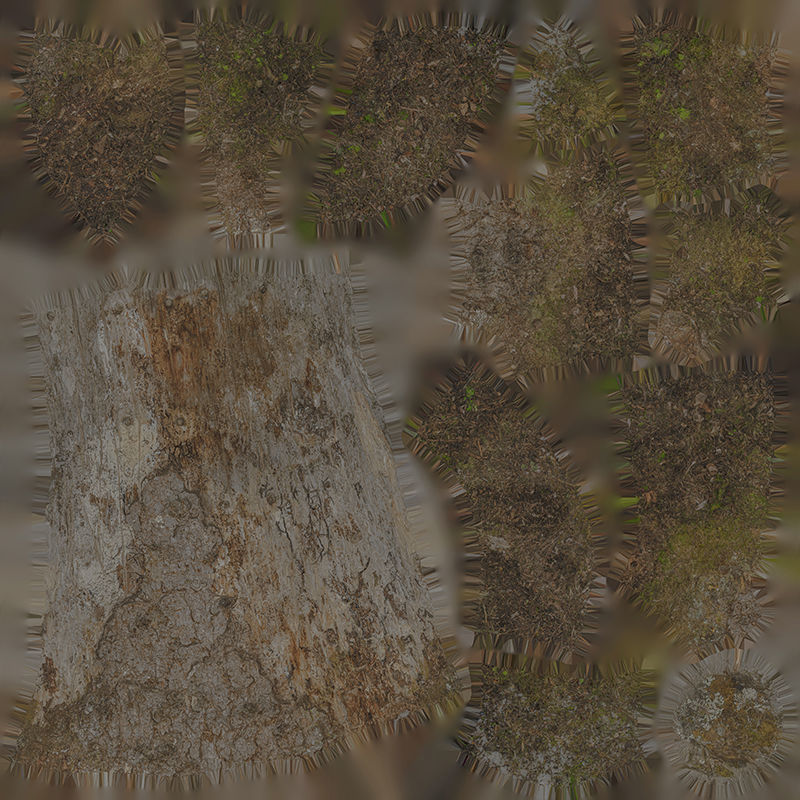 Anydrafts Abies fabri Trunk 16 Low-poly 3D model_1