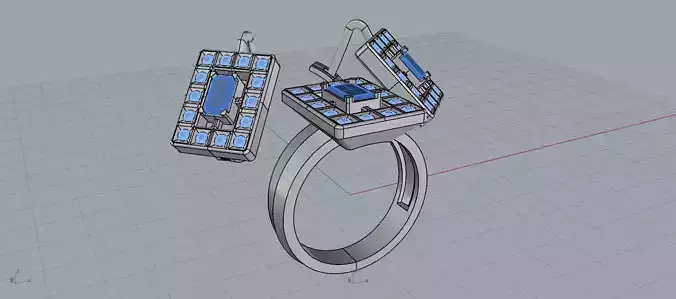 Beautiful Ring With His Earrings