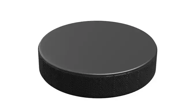 Hockey Puck