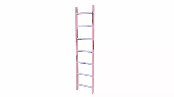 Ladder