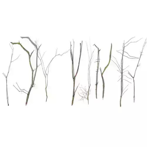 Spruce Twigs Low-poly 3D model