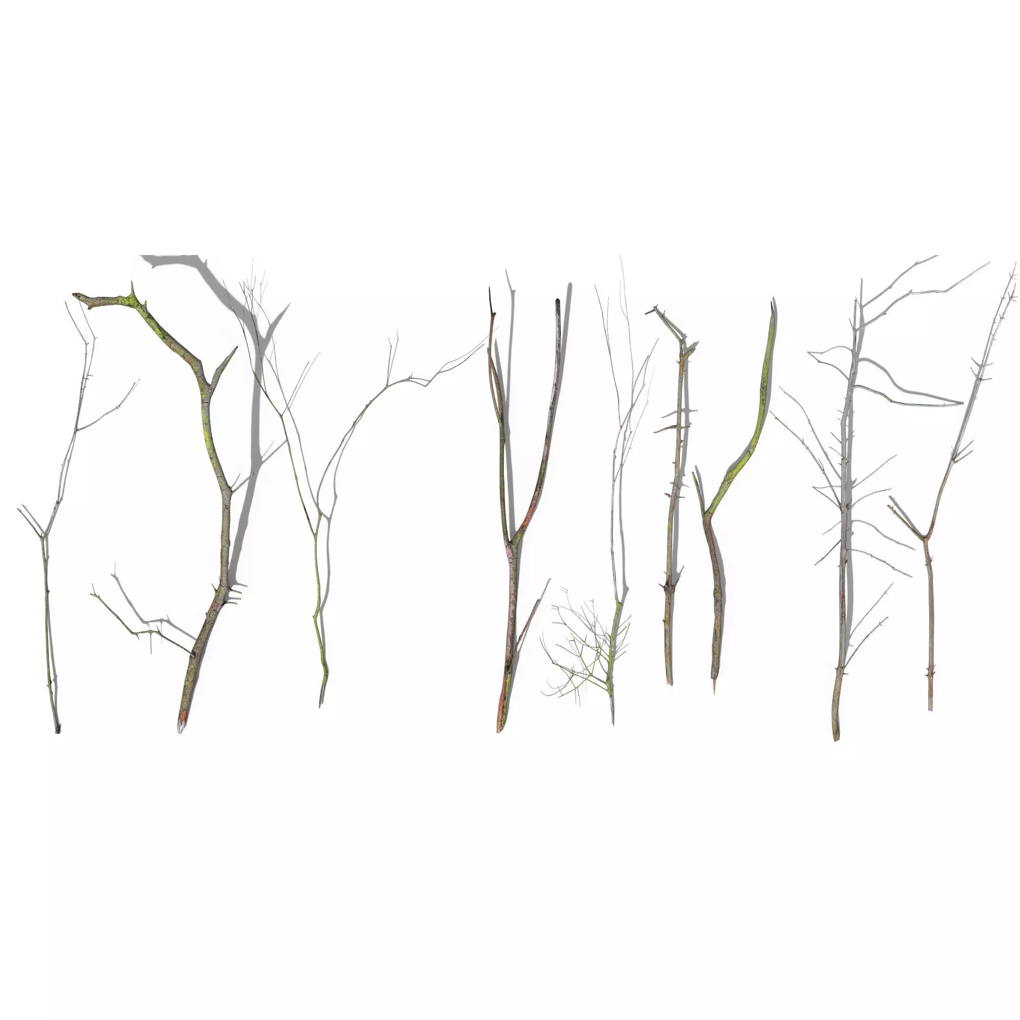 Spruce Twigs Low-poly 3D model