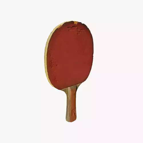 Anydrafts Ping pong paddle 01
