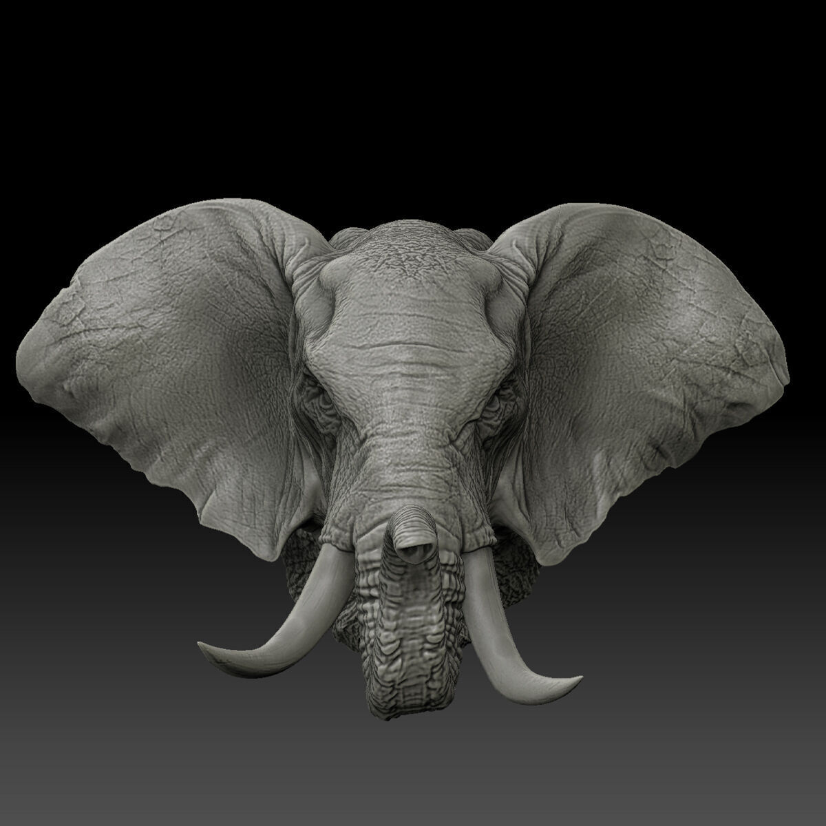 Elephant Wall Decoration Medium 3D Print Model 3D print model_8