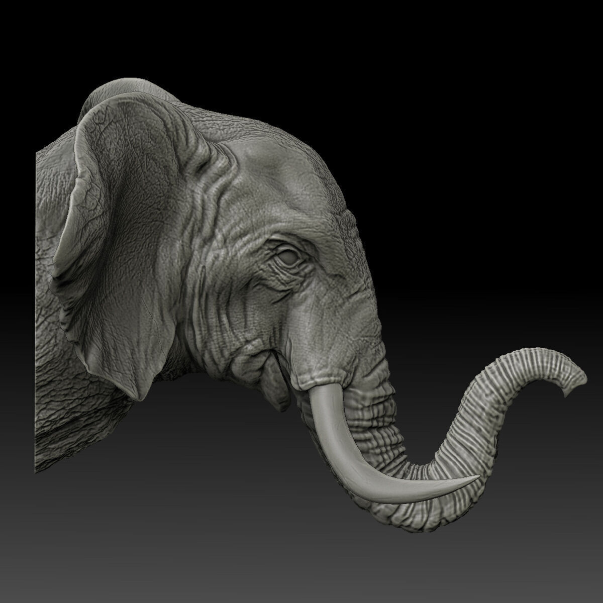 Elephant Wall Decoration Medium 3D Print Model 3D print model_7
