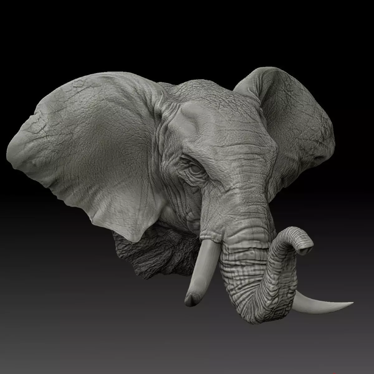 Elephant Wall Decoration Medium 3D Print Model 3D print model_0