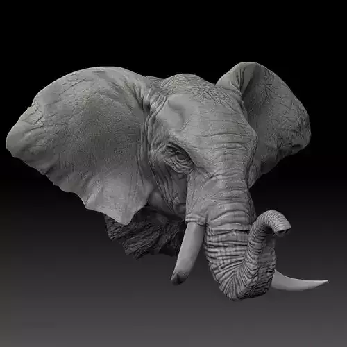 Elephant Wall Decoration Medium 3D Print Model 3D print model