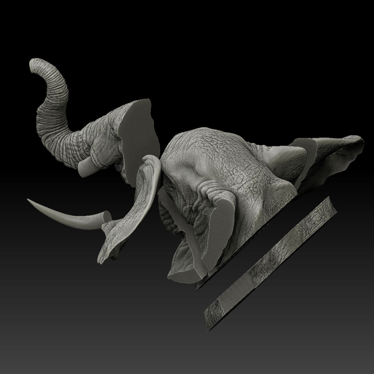 Elephant Wall Decoration Medium 3D Print Model 3D print model_11