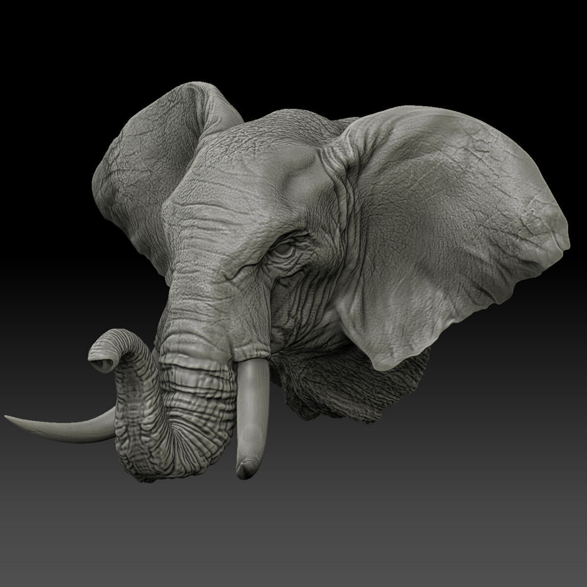 Elephant Wall Decoration Medium 3D Print Model 3D print model_9