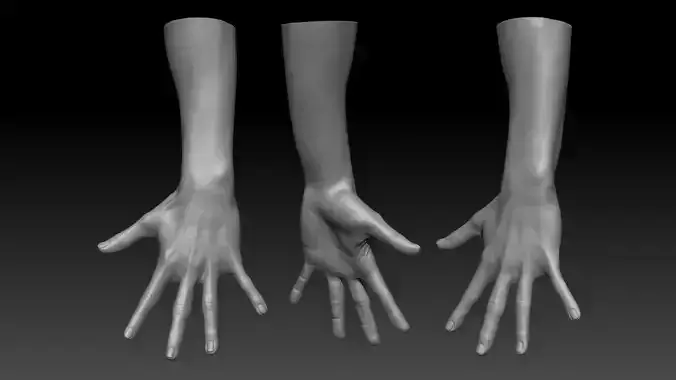 3D Scanned Male Hand - High-Resolution Male-Hispanic-23 Yrs old 3D model