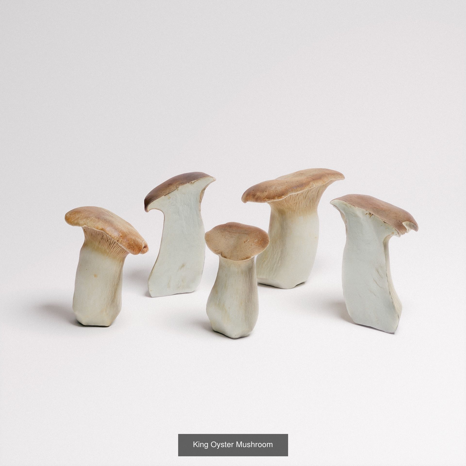 Organic Collection 01 _5