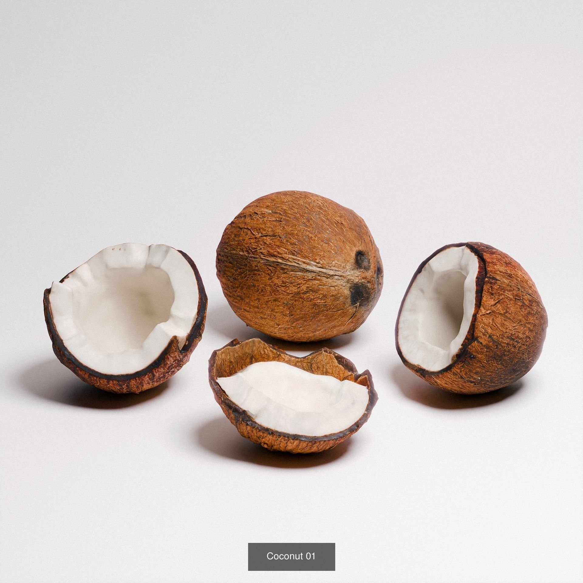 Organic Collection 01 _3