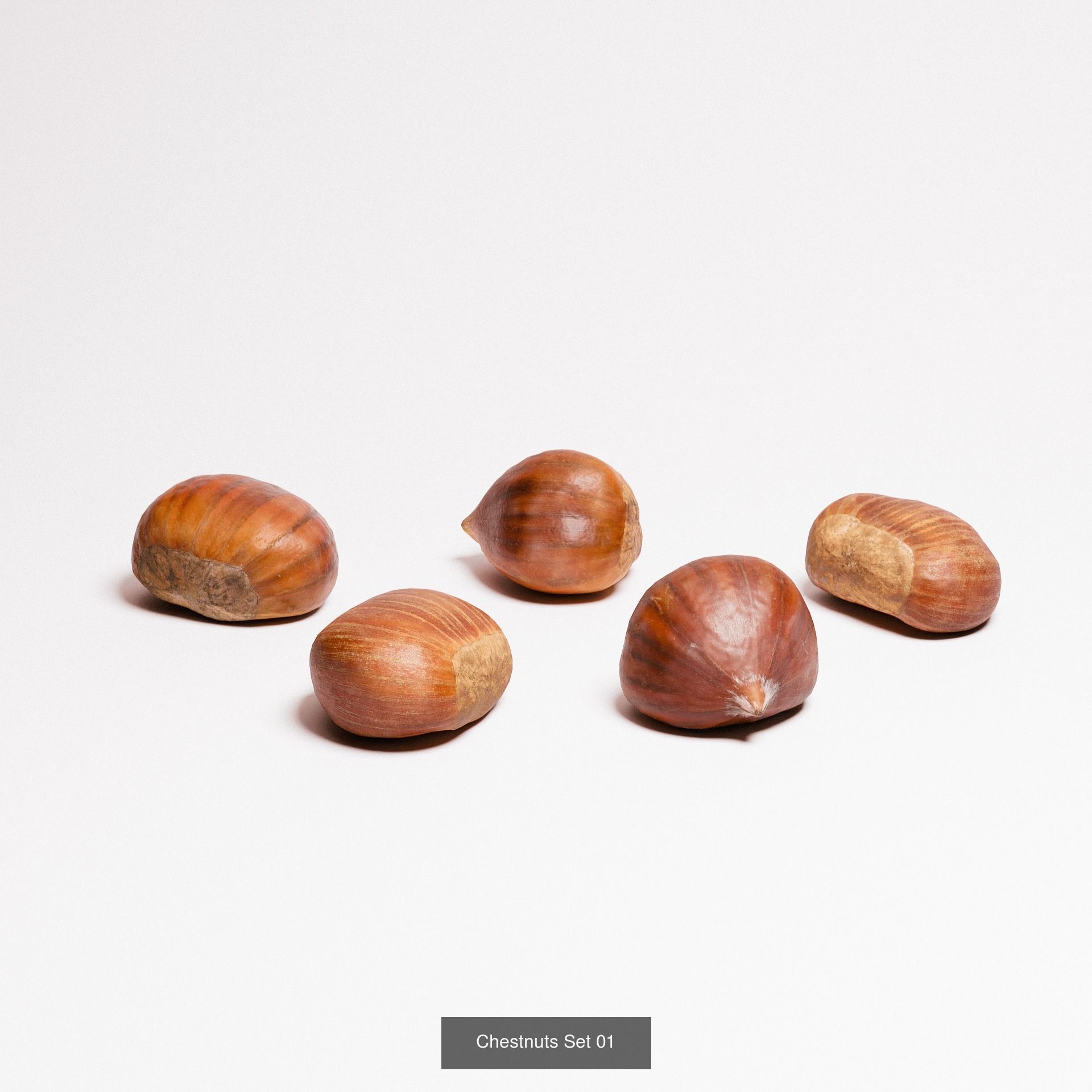 Organic Collection 01 _10