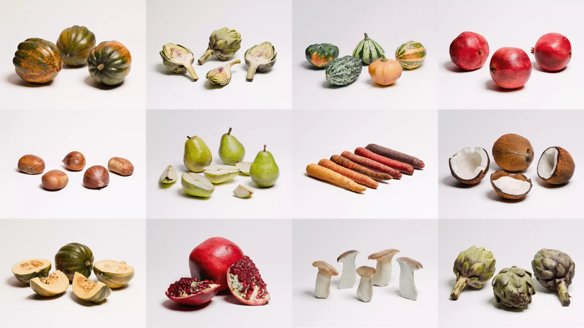 Organic Collection 01 _0