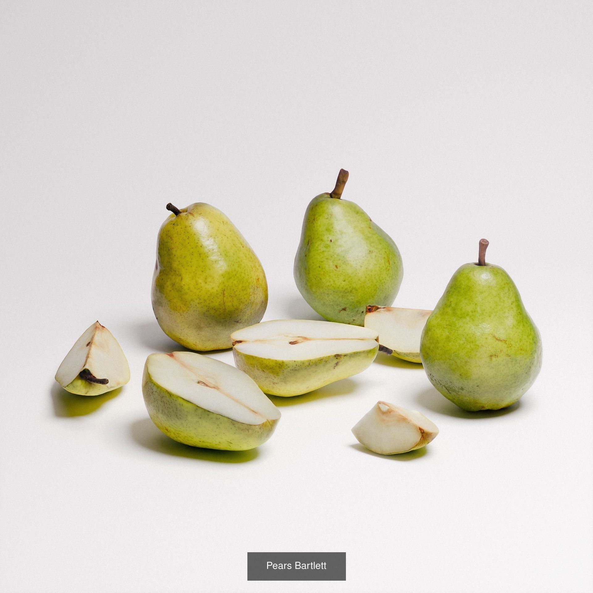 Organic Collection 01 _4