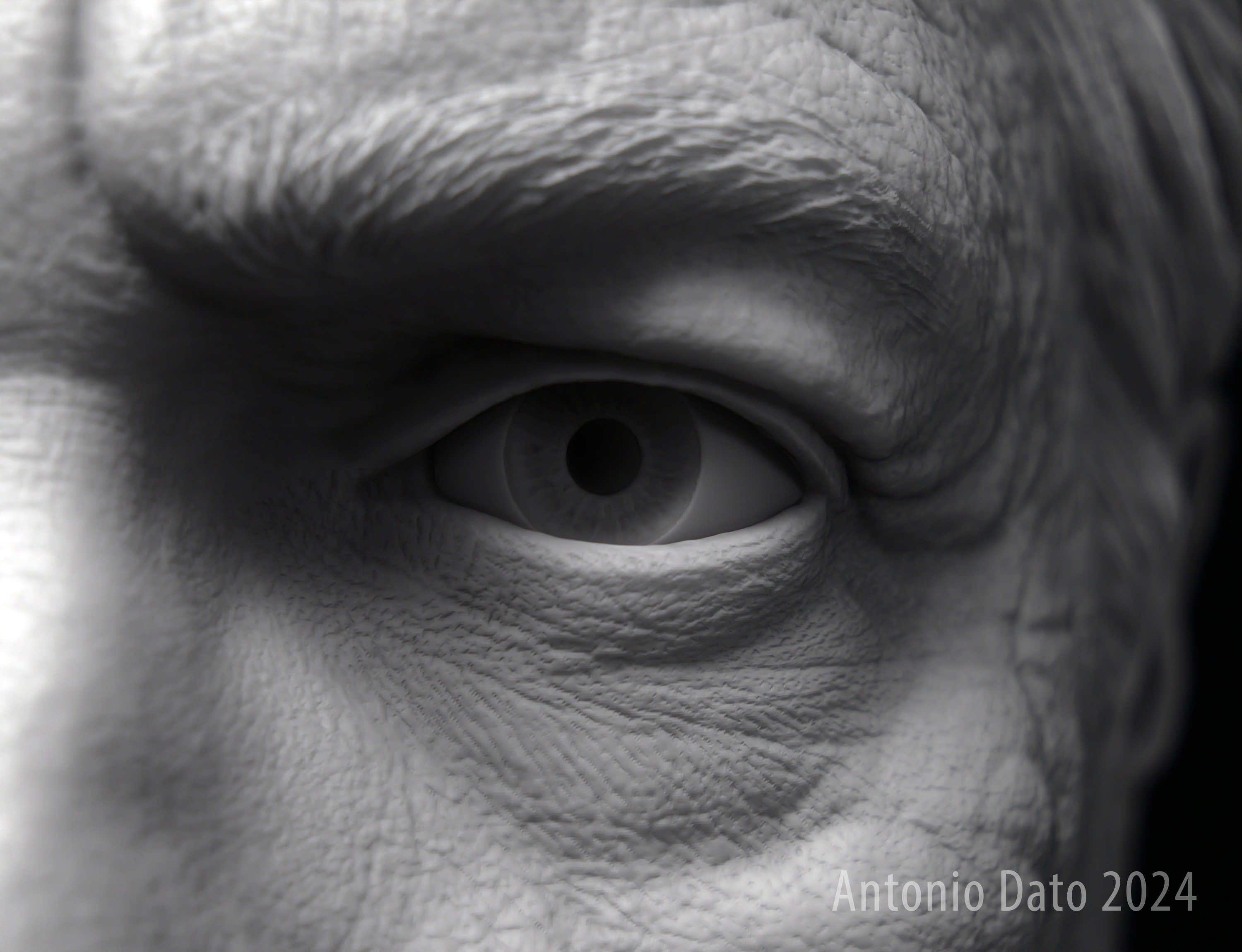 Edward James Olmos as William Adama Bust Printable 3D Model 3D print model_16