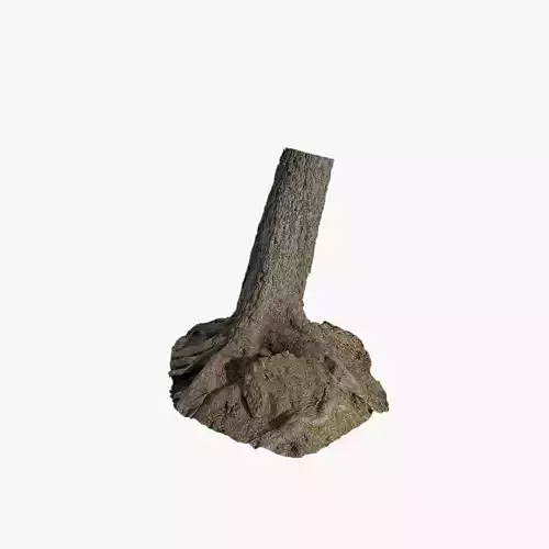 Anydrafts Abies Trunk 07