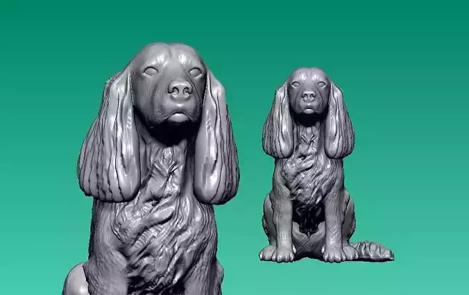 Dash  - cocker - spaniel model - 3D print