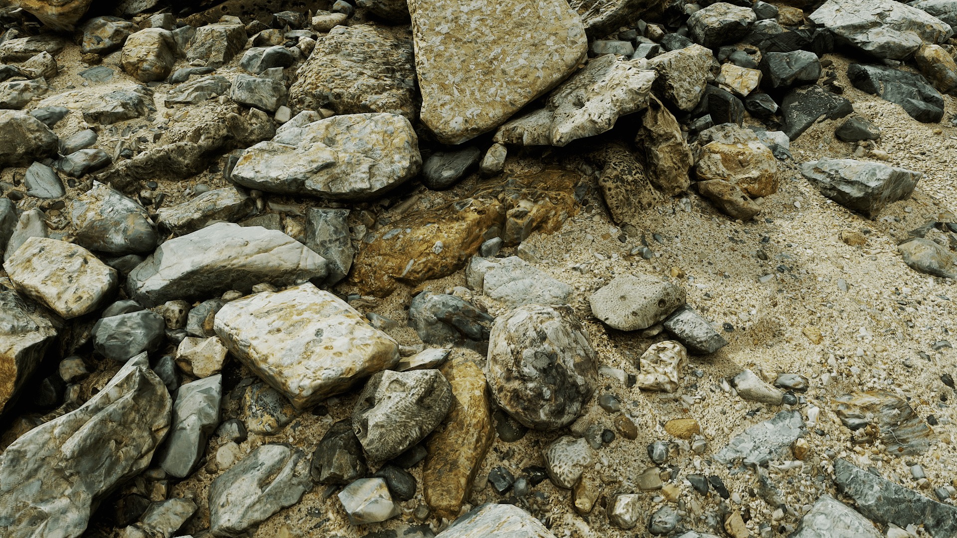 Anydrafts Coral reef 02 Low-poly 3D model_6