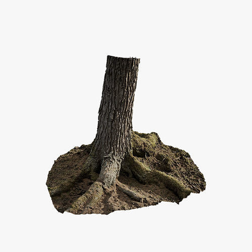 Anydrafts Abies Trunk 10 Low-poly 3D model