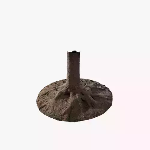 Anydrafts Abies Trunk 12